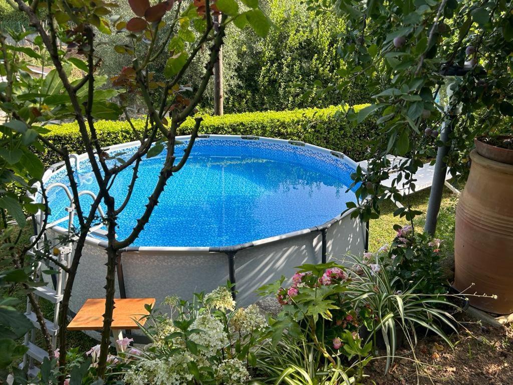 Casa Anna A Pietrasanta In Toscana Con Piscina Dış mekan fotoğraf
