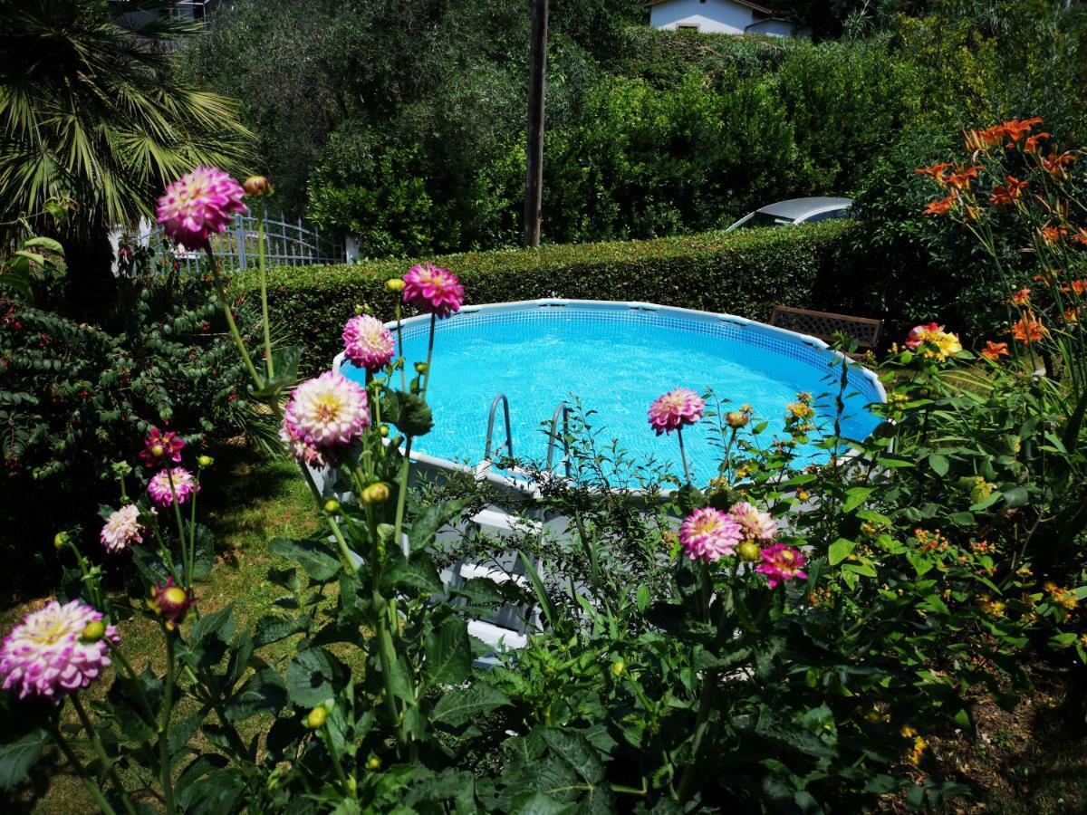 Casa Anna A Pietrasanta In Toscana Con Piscina Dış mekan fotoğraf